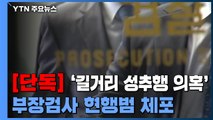 [단독] '길거리 성추행 의혹' 검사, '감봉 6개월' 징계로 마무리 / YTN