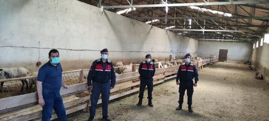 KAYSERİ'DE 120 KÜÇÜKBAŞ HIRSIZLIĞINA 1 TUTUKLAMA