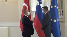 Son dakika haberleri... LÜBLİYANA - Dışişleri Bakanı Çavuşoğlu, Slovenya Cumhurbaşkanı Pahor ile görüştü