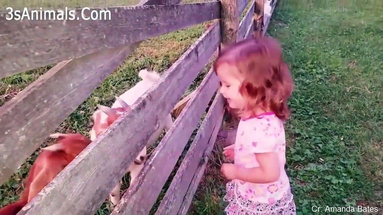 Funny Cats And Babies Playing Together ★ Animals Trolling Babies