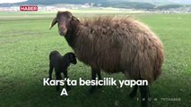 Merada doğan kuzuyu bisikletle evine götürdü