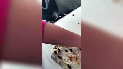 Receta de pan casero