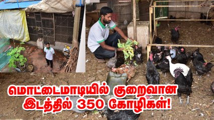 சென்னைக்குள் மொட்டை மாடி கோழி வளர்ப்பு!  #NattuKozhi #PasumaiVikatan