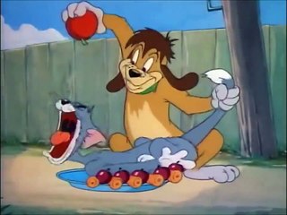 Tom and Jerry, 35 Episode - The Truce Hurts (1948)