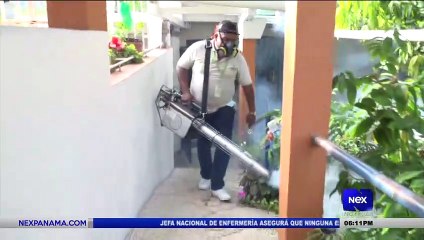 Realizan operativo de nebulización y verificación contra el dengue  - Nex Noticias