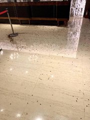 Tayvan'da restorana hamam böcekli saldırı