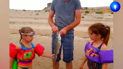 TRY NOT TO LAUGH - Funny Babies At The Zoo - Funny Animals Reaction - Baby Sharks 2021