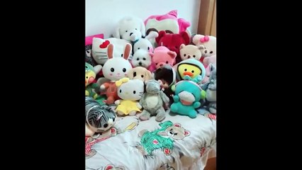 FANTASTIC ANIMALS Best Friend - Cute and Funny Animals Videos Compilation
