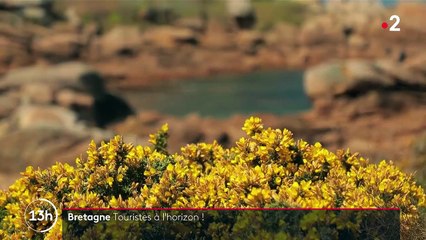 Bretagne : une plongée enchantée au cœur du site de Ploumanac'h