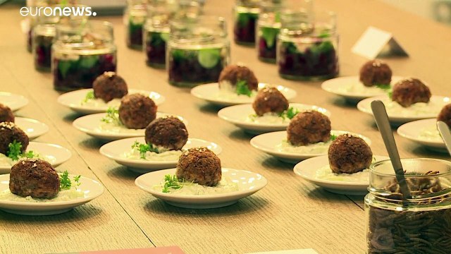 L'Union européenne autorise la consommation des vers de farine