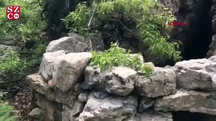 MSB: Terörü kaynağında kurutmaya kararlıyız