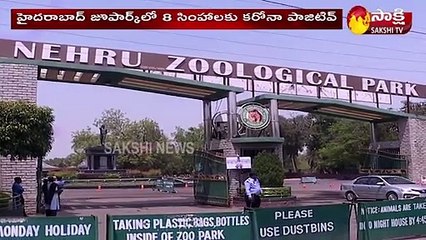 హైదరాబాద్ జూపార్క్‌లో 8 సింహాలకు కరోనా పాజిటివ్