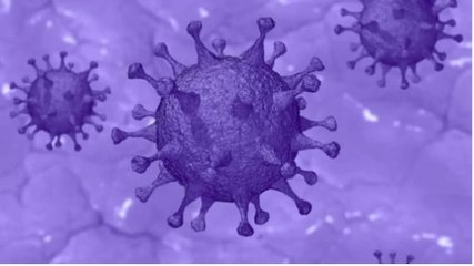 Is 'South India' virus strain more deadly or disappearing?