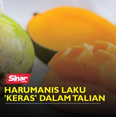 Harumanis laku 'keras' dalam talian