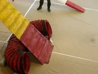 Dom bugsy degrès 240208