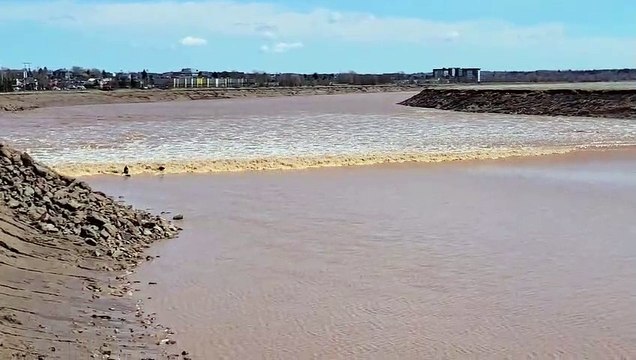 Des surfeurs prennent une vague de marée pendant un mascaret