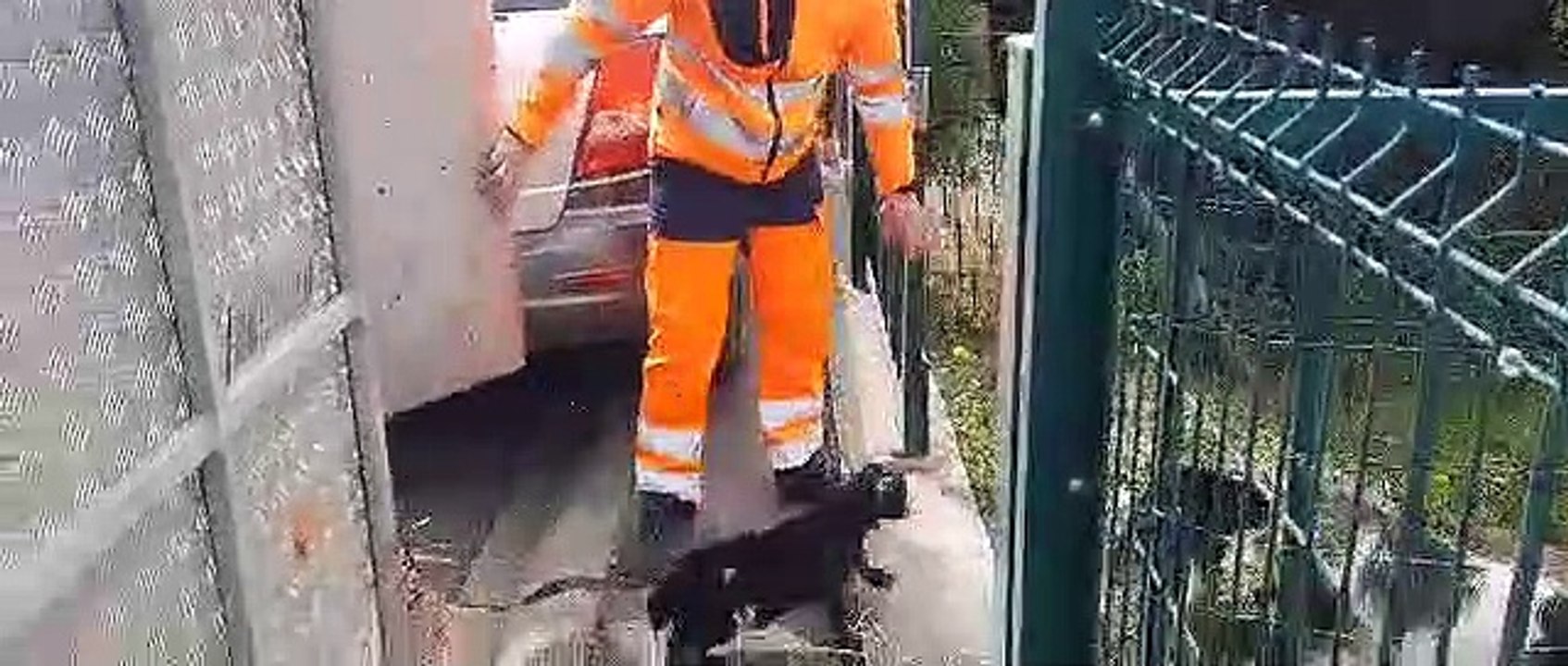 Dans le Calvados, des chèvres et des moutons pour tondre les pelouses