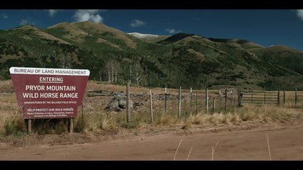 Rip Needs A Best Man | Yellowstone | Paramount Network