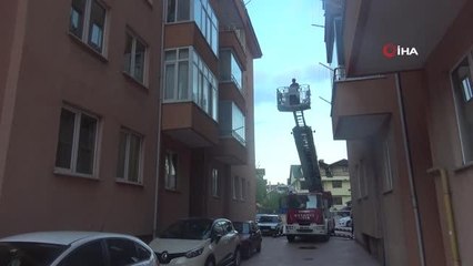 Son dakika haberi | - Balkona düşen yaralı ebabil kuşunu itfaiye kurtardı