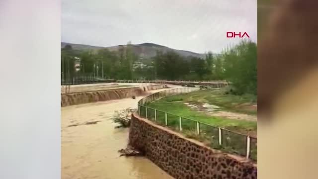 SİVAS GÜRÜN'DE SAĞANAK YAĞMUR DEREYİ TAŞIRDI, BALIKLAR YOLA SAVRULDU