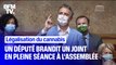 Militant pour la légalisation du cannabis, un député brandit un joint en pleine séance à l'Assemblée