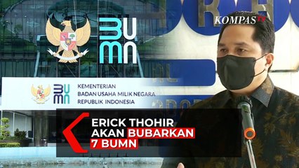 Erick Thohir Akan Bubarkan 7 BUMN, Kenapa?