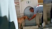 Görenler hayran kaldı! Köpeğe elleriyle su içirdi...