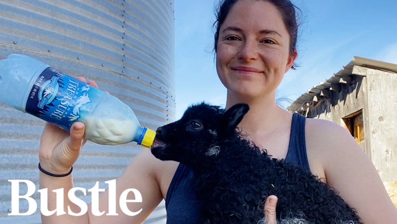 Living On A Sheep Farm In Montana