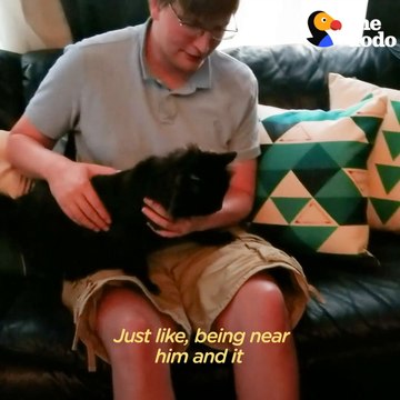 A Nervous Cat Helped This Guy Feel Connected To The World