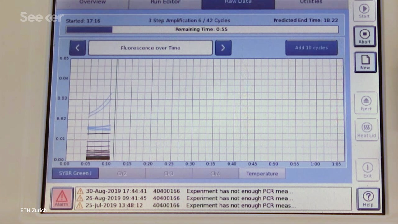 This 3D-Printed Bunny Can Infinitely Duplicate, Thanks to DNA