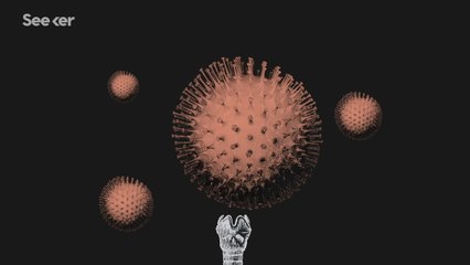 Why Does the Flu Come Back Every Year?