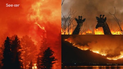 How Close Are We to Zero-Emissions Electricity?