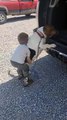 Boy Boosts Basset Hound into Truck