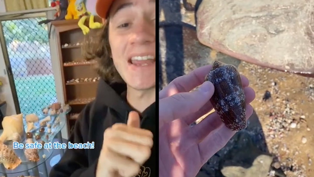 Guy Takes To TikTok To Spread Awareness About Deadly Shells