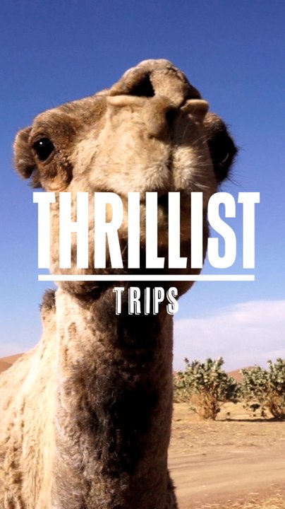 Main Story Thrillist Trips Mobile - NEW