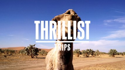 Main Story Thrillist Trips Main - NEW