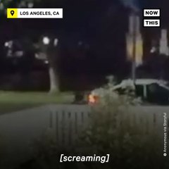 New Footage Shows Moment Lady Gaga's Dog Walker Was Attacked