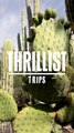 Mexico Thrillist Trips Mobile - NEW