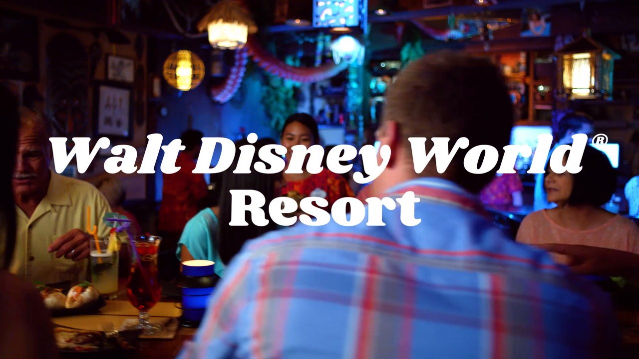 WDW Main Image Background Video