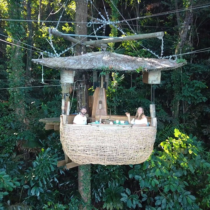 Take Dining to New Heights by Eating in a Tree Pod