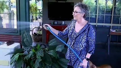 Federal Govt announces $10b guarantee making insurance affordable