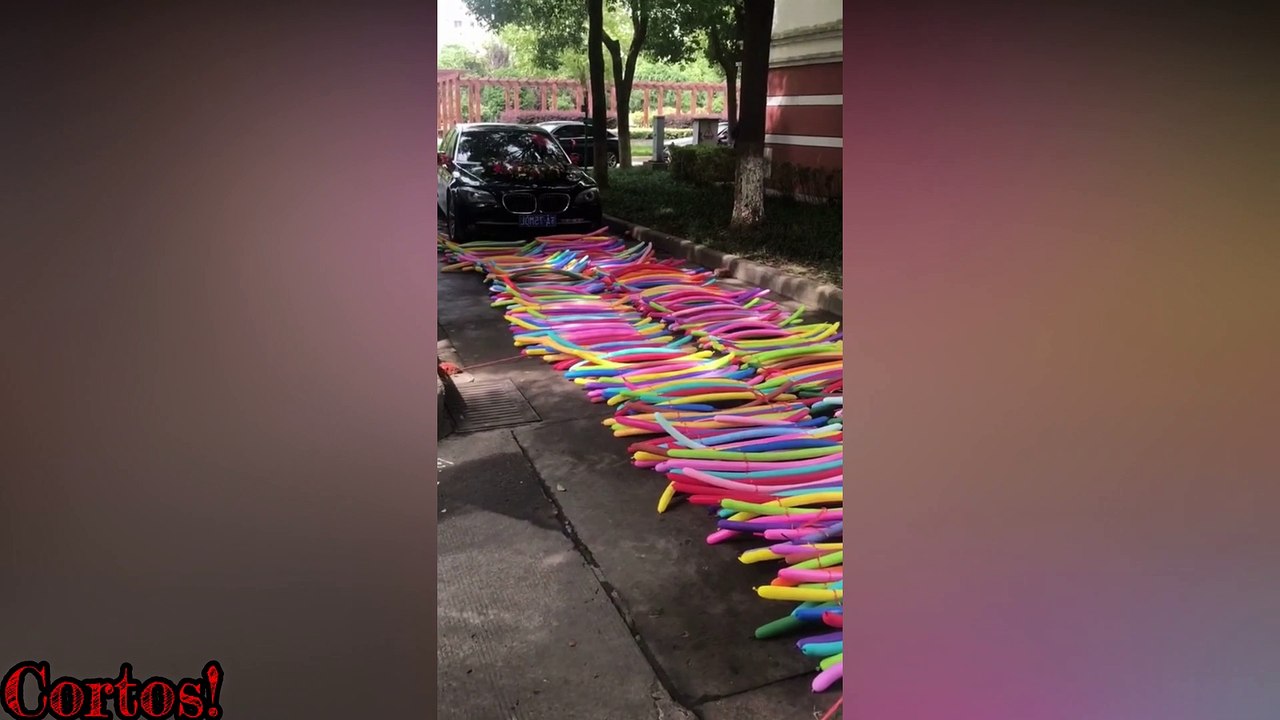  TE SORPRENDERAS 
