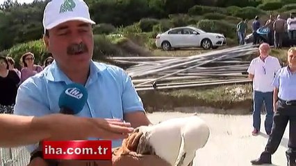 Doluda yaralanan martılar doğaya salındı