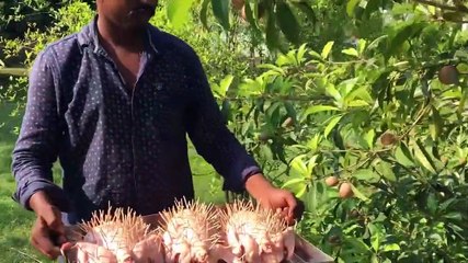 İlginç bir tavuk kızartma yöntemi