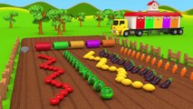 Harvesting Fruits and Vegetables with Tractors Learn Colors for Kids