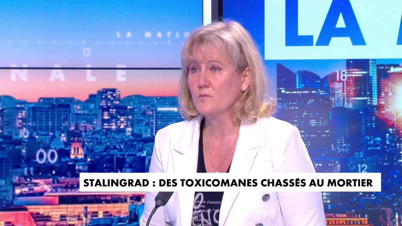 Nadine Morano : «S'il n'y a pas une réponse ferme on n'arrivera jamais à lutter contre cette délinquance»