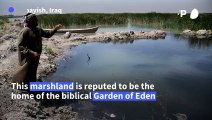 Ancient Mesopotamian marshes threatened by Iraqi sewage