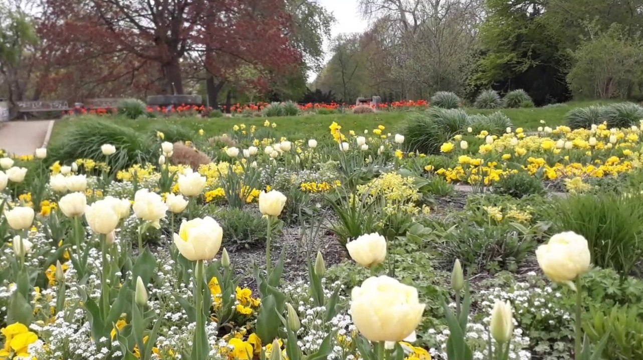 Treptower park im frühlingsrausch