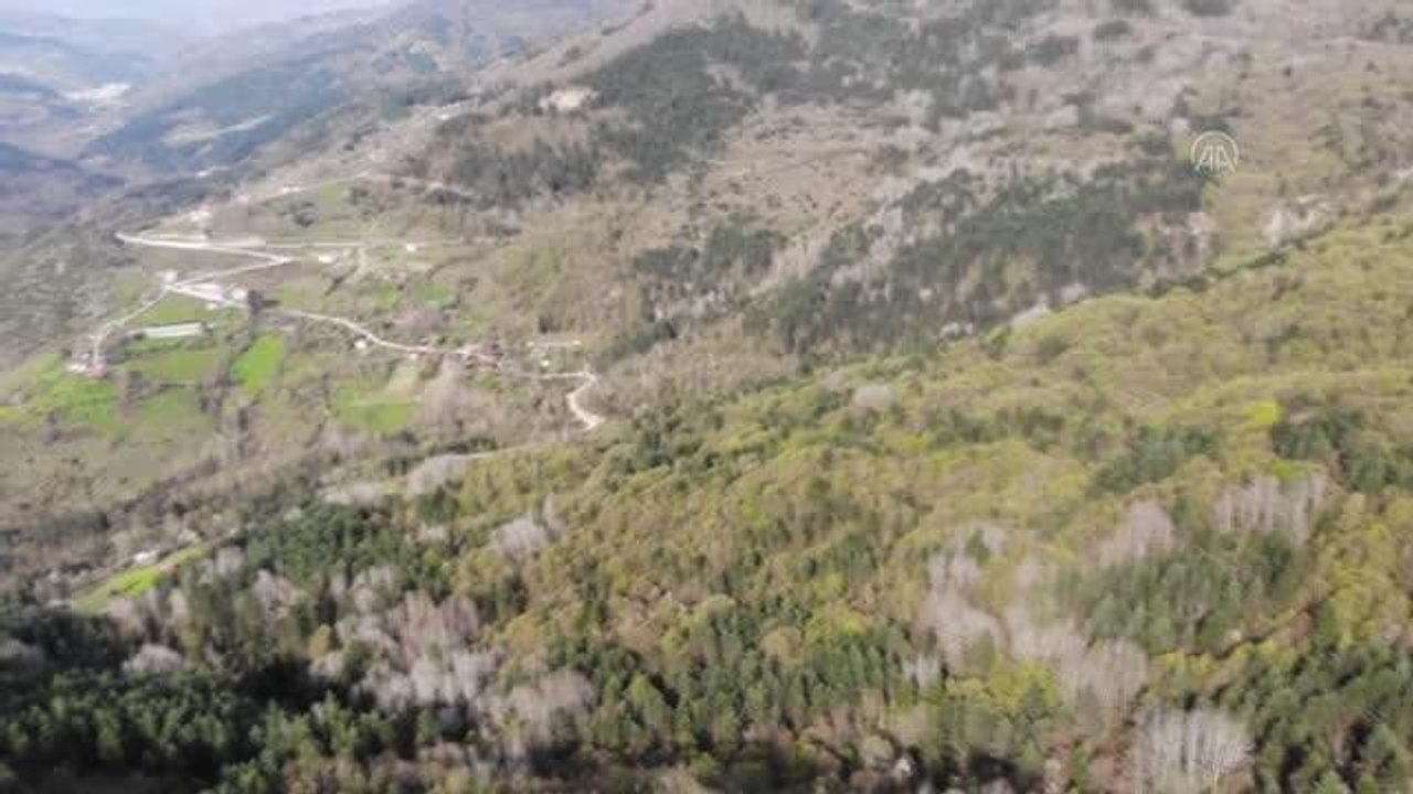 KASTAMONU - "Saklı cennet" Şenpazar doğa içinde izolasyon imkanı sunuyor