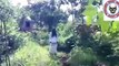 Real Ghost Caught on Camera in the Nallamala Forest  Scary Horror Devil Ghost_
